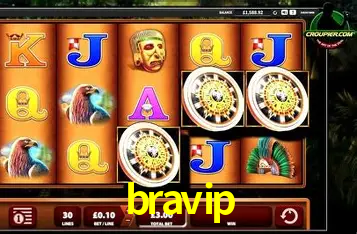Descubra a Essência do bravip: Nossa História e Compromissos
